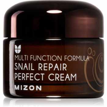 Mizon Multi Function Formula Snail cremă pentru față cu extract de melc 60%