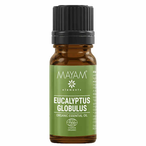 Ulei Esențial de Eucalipt Globulus Ecologic/Bio 10ml | MAYAM