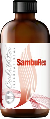 SambuRex (240 ml) Soc negru, Echinacea, Astragalus si vitamina C intareste sistemul imunitar