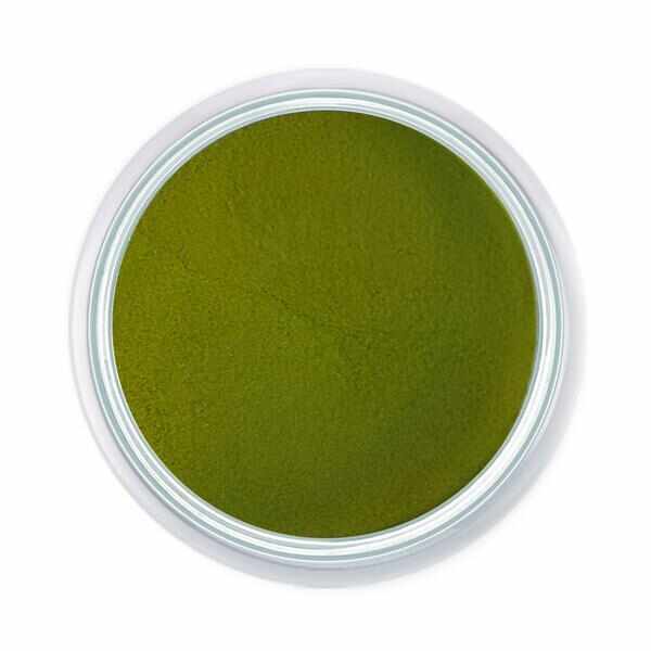 Praf acrylic Pure Green 10 gr