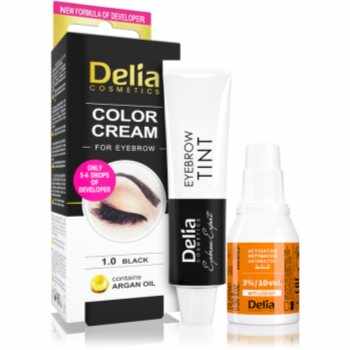 Delia Cosmetics Argan Oil culoare pentru sprancene