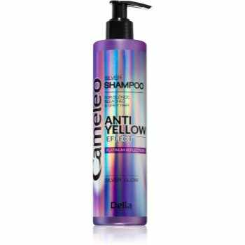 Delia Cosmetics Cameleo Silver șampon neutralizeaza tonurile de galben