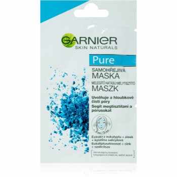 Garnier Pure mască pentru față pentru ten acneic