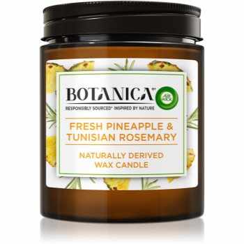 Air Wick Botanica Fresh Pineapple & Tunisian Rosemary lumânare parfumată