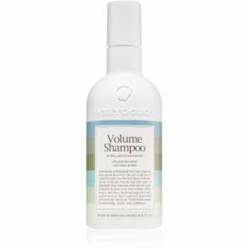 Waterclouds Volume Shampoo șampon cu efect de volum pentru părul fin