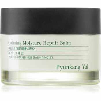 Pyunkang Yul Calming Moisture Repair Balm Balsam de buze regenerator di hidratant pentru piele sensibilă