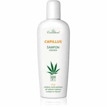 Cannaderm Capillus Seborea Shampoo sampon pe baza de plante pentru scalp iritat