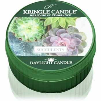 Kringle Candle Succulents lumânare