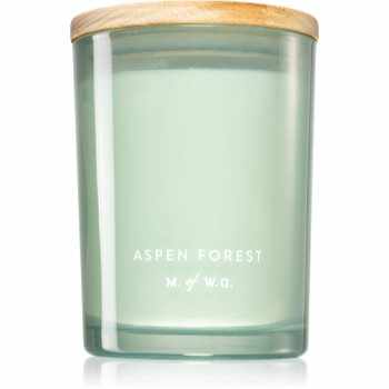 Makers of Wax Goods Aspen Forest lumânare parfumată