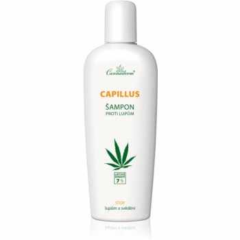 Cannaderm Capillus Anti-Dandruff Shampoo sampon anti-matreata cu ulei de canepa