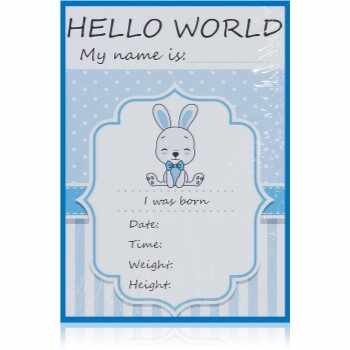 KidPro Milestone Cards Bunny For a Boy carduri de referință