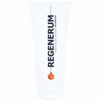 Regenerum Hair Care sampon pentru regenerare pentru păr uscat și deteriorat