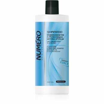 Brelil Numéro Elasticizing & Frizz-Free Shampoo sampon pentru par cret