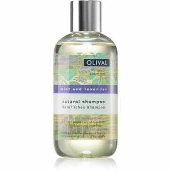 Olival Natural Mint and Lavender sampon natural pentru păr uscat și deteriorat