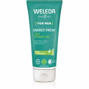 Weleda Energy Fresh 3in1 gel de curatare 3 in 1 pentru par si corp