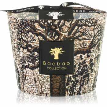 Baobab Collection Sacred Trees Morondo lumânare parfumată