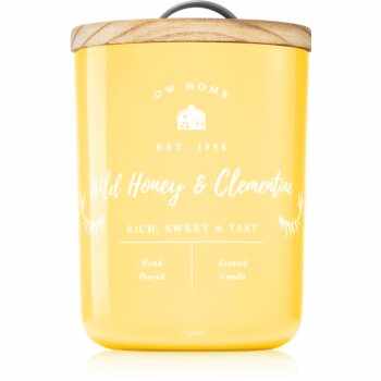DW Home Farmhouse Wild Honey & Clementine lumânare parfumată