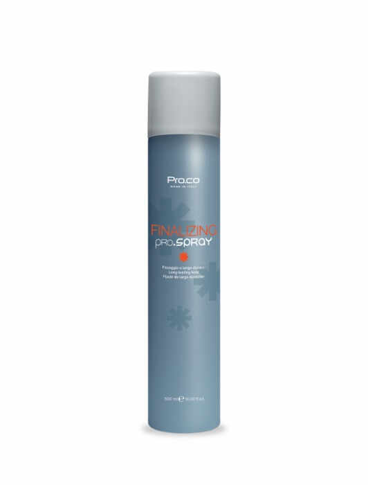 Lac fixativ spray FINALIZING PRO - 500 ml