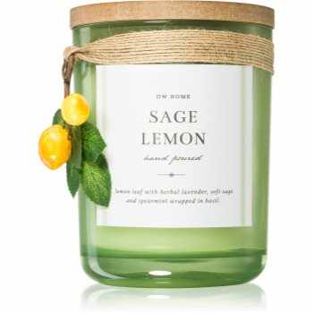 DW Home French Kitchen Sage Lemon lumânare parfumată