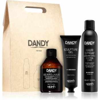 DANDY Styling gift set set cadou pentru bărbați