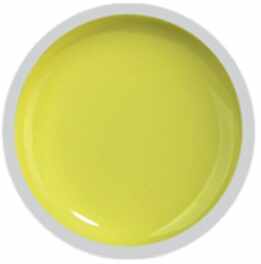 COVER COLOR GEL FSM 015 - CC-015 - Everin.ro