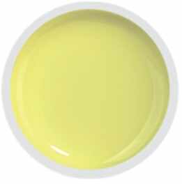 COVER COLOR GEL FSM 064 - CC-064 - Everin.ro