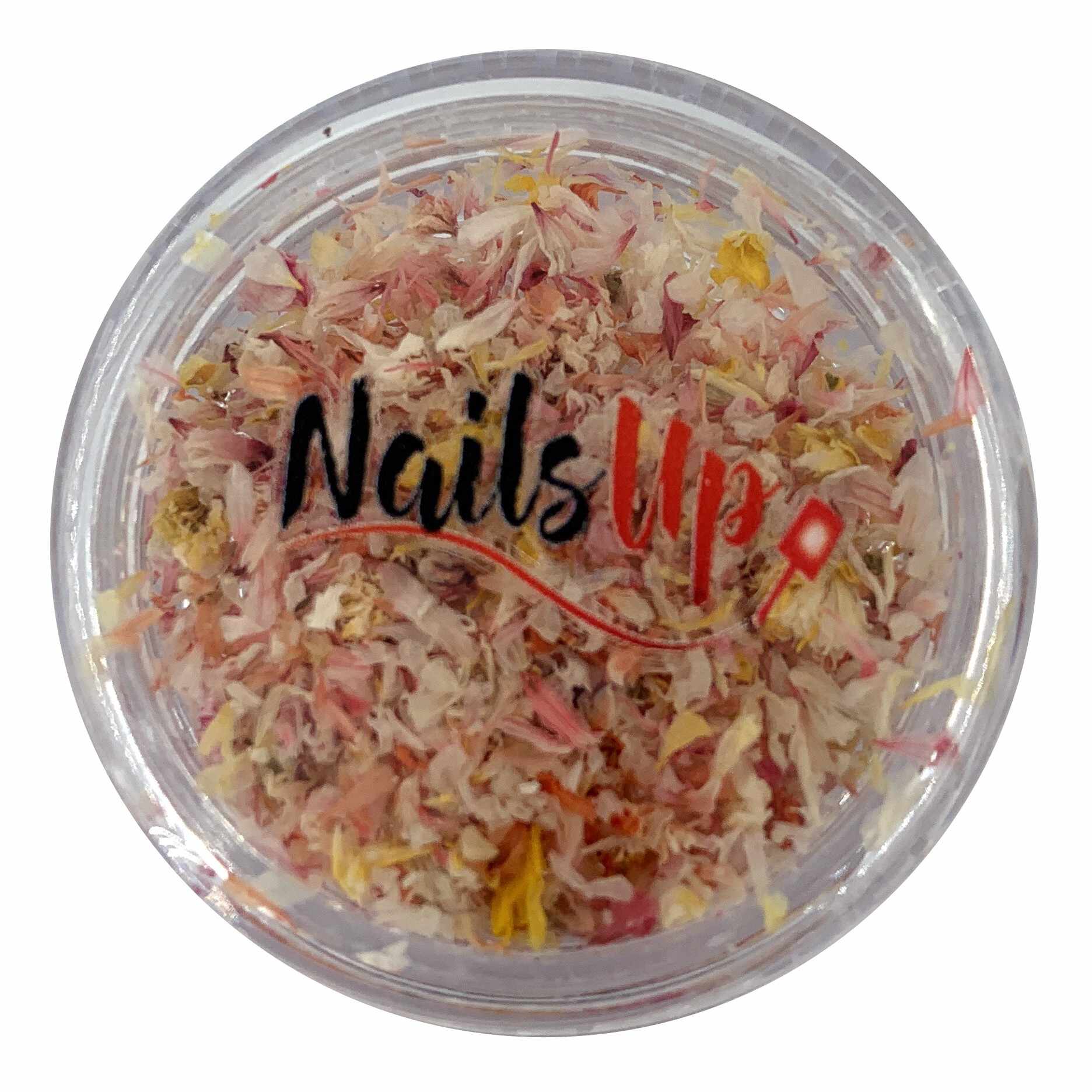 Decor Unghii NailsUp Nail Art Petale Uscate