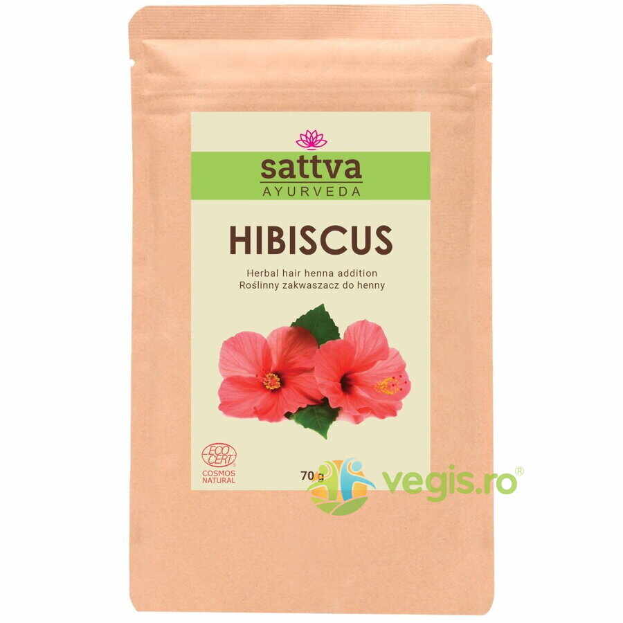 Pudra de Hibiscus - Aditiv Vopsea de Par Henna Rosu Purpuriu 70g